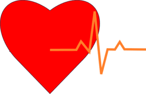 favicon-Biofizyka-korepetycje.pl